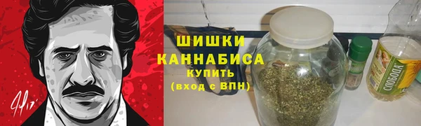 индика Волосово